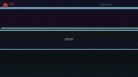 周末随拍记录 - 善良的小蛦2子 原创视频